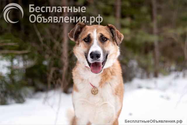 Матильда из мультфильма ищет дом