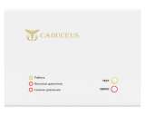 Устройство диспетчеризации кислородного газификатора CADUCEUS