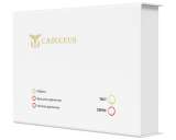 Устройство диспетчеризации кислородного газификатора CADUCEUS