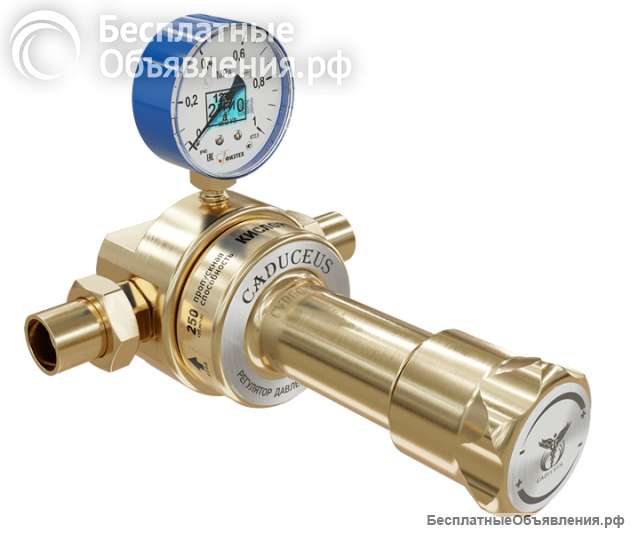 Кислородный сетевой регулятор CADUCEUS СКО-250