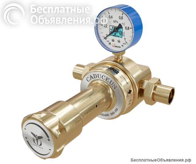 Кислородный сетевой регулятор CADUCEUS СКО-250