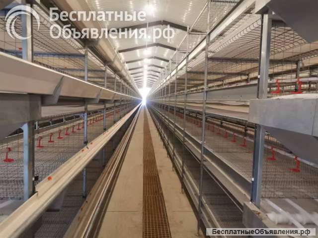 Оборудование для свинокомплекса по выращиванию свиней Big Ducthman из Китайского производителя, стан