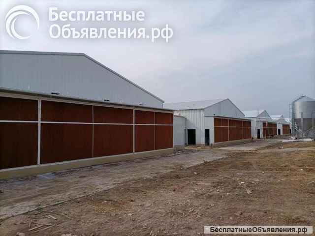 Оборудование для свинокомплекса по выращиванию свиней Big Ducthman из Китайского производителя, стан