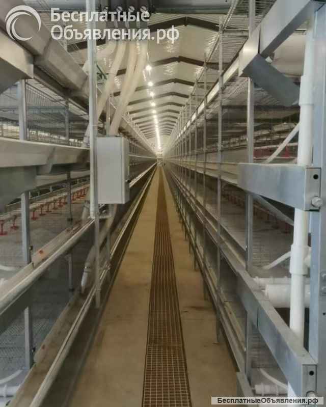 Оборудование для свинокомплекса по выращиванию свиней Big Ducthman из Китайского производителя, стан