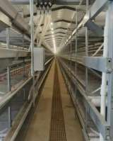 Оборудование для свинокомплекса по выращиванию свиней Big Ducthman из Китайского производителя, стан