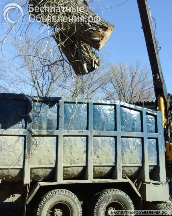 Деревьев спил, обрезка частично или полностью