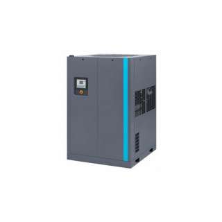 Винтовой компрессор с осушителем GA 110 VSD+13FF