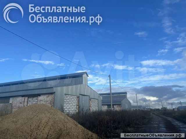 Здание офис, телятники, зерносклад