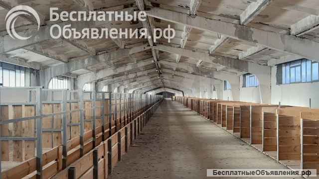 Здание офис, телятники, зерносклад