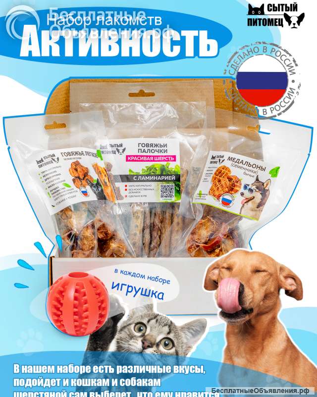 Лакомства для собак и кошек Активность