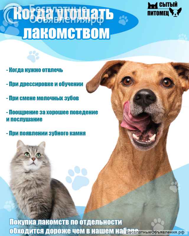 Лакомства для собак и кошек Активность