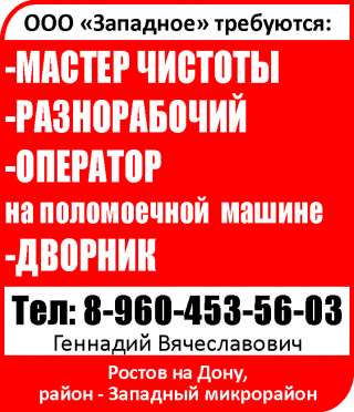 Мастер чистоты Разнорабочий Оператор на поломоечной машине