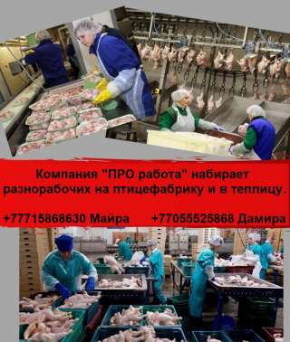 Компания ПРО работа набирает разнорабочих на работу в птицефабрику и теплицу