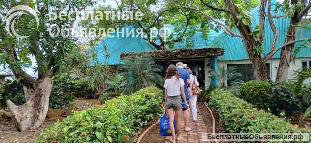 Шикарный остров в Панаме