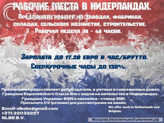 Работы на складах. Нидерланды