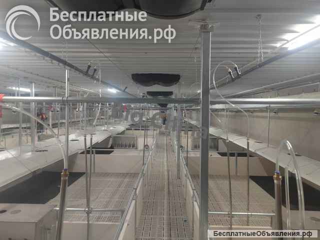 Оборудование Big Ducthman для свинокомплекса по выращиванию свиней из Китайского производителя