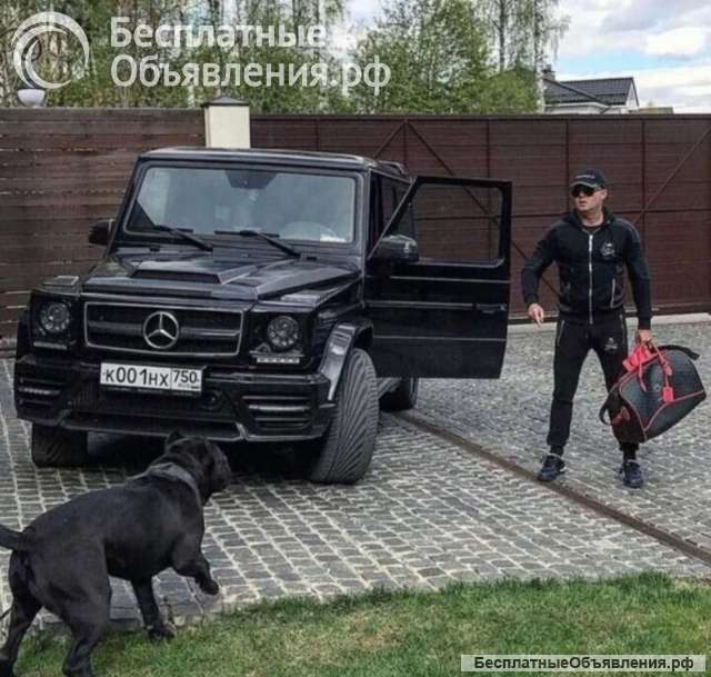 Частный детектив