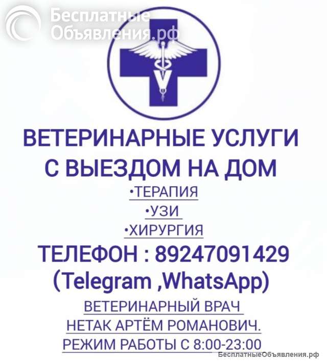 Ветеринарный врач УЗИ выезды