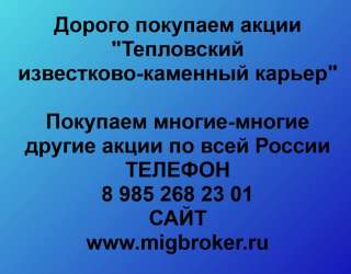 Покупаем акции «Тепловский ИКК» и любые другие акции по всей России