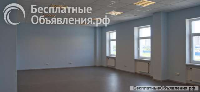 Сдам помещение своб. назначения 24 кв.м на 1 линии Московского ш.