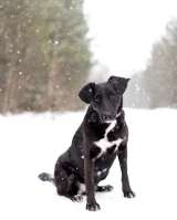 Хлоя. Чёрная жемчужина со дна океана