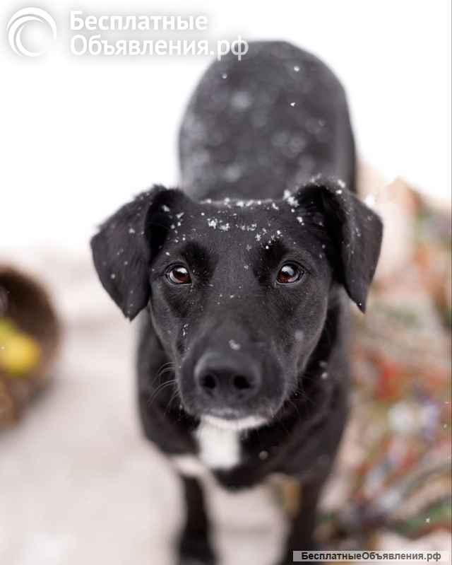 Хлоя. Чёрная жемчужина со дна океана