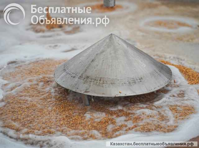 Оборудование для производства солода солодовня