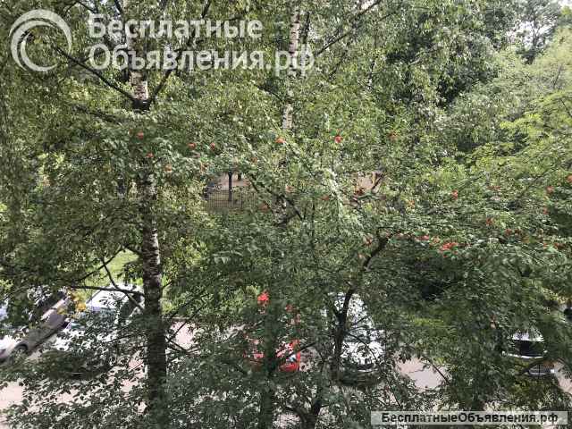 Комната 17,3 кв.м. Загребский б-р 5 к.3