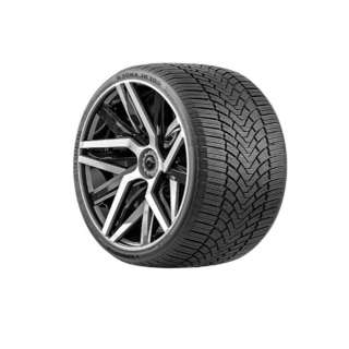 Шины ICEHAWKE I 225/55R17