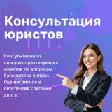 Профессиональное банкротство физических лиц: списание долгов онлайн