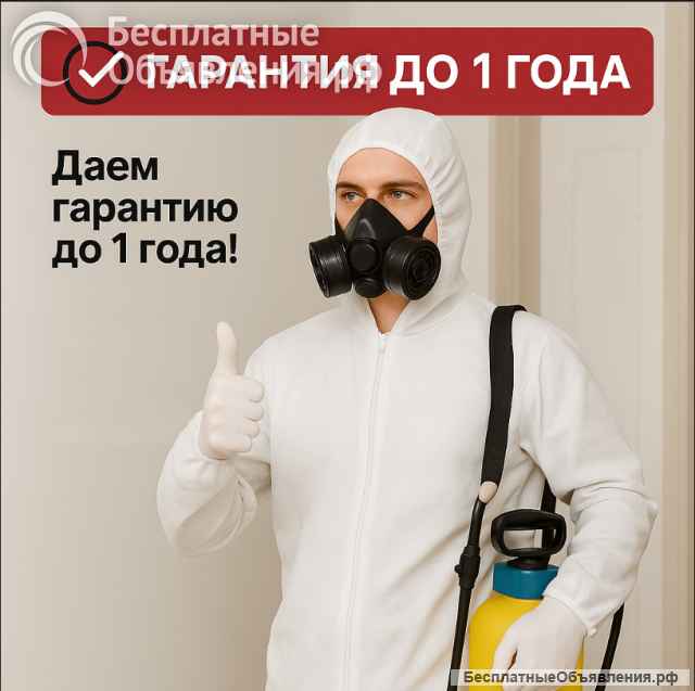 Уничтожение клопов и тараканов
