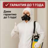 Уничтожение клопов и тараканов