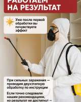 Уничтожение клопов и тараканов