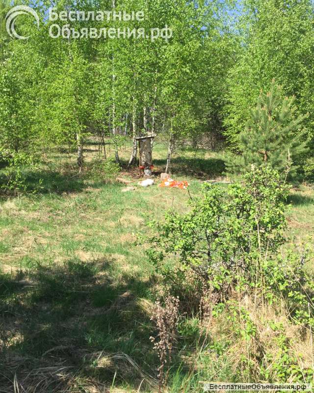 Земельный участок под глэмпинг Кимры 2 га