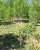 Земельный участок под глэмпинг Кимры 2 га