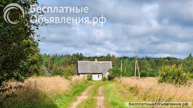 Дом на уютном хуторе у хвойного леса под Псковскими Печорами, 6 Га. земли.