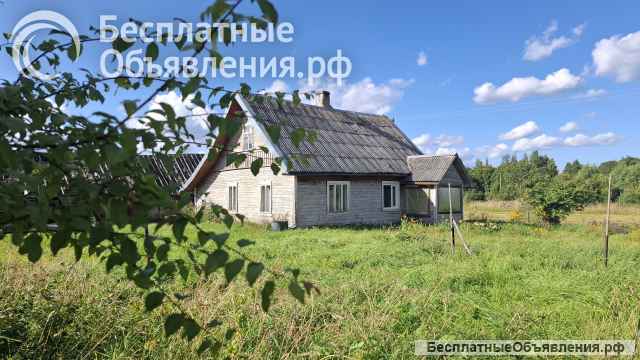 Дом на уютном хуторе у хвойного леса под Псковскими Печорами, 6 Га. земли.
