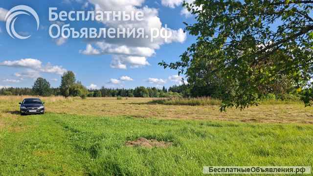 Дом на уютном хуторе у хвойного леса под Псковскими Печорами, 6 Га. земли.