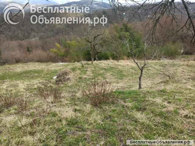 Земельный участок в Сочи