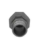 Американки из чёрного чугуна