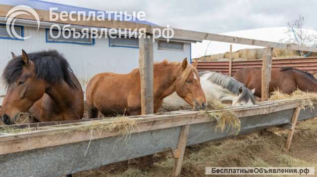 Участки для фермерства (север Московской области)
