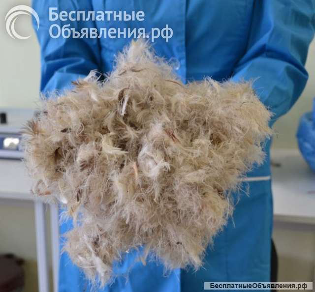 Наполнитель пух перо