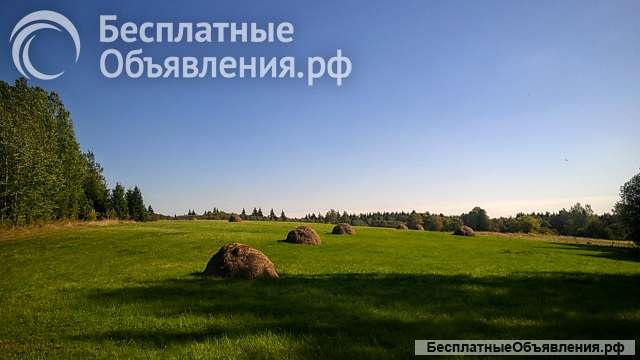 Дом хуторного типа на вершине большого живописного холма, 1,5 Га. земли