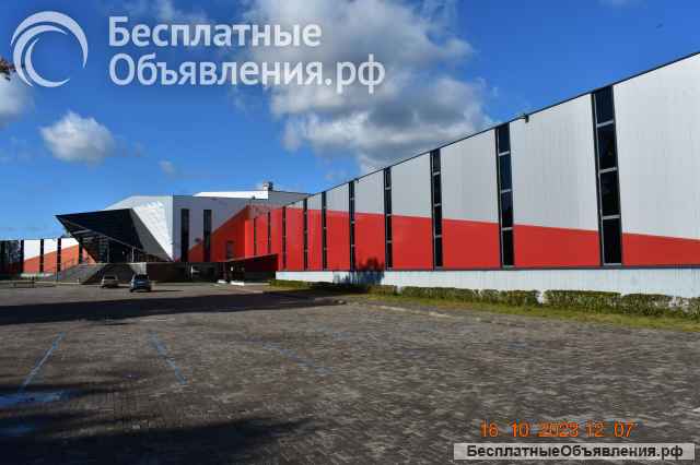 Купить искусство