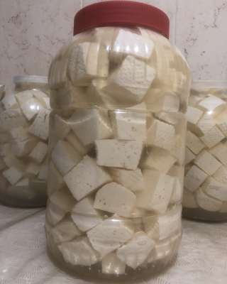 Сыр в рассоле домашний