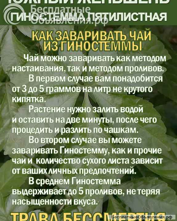 Фиточай Джиаогулан. Гиностемма пятилистная. Южный женьшень.