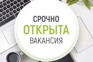 Ассистент/ Помощник ИП