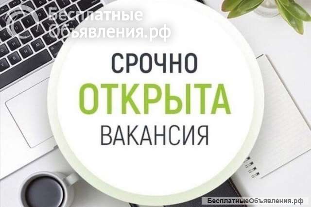 Оператор по работе с заявками