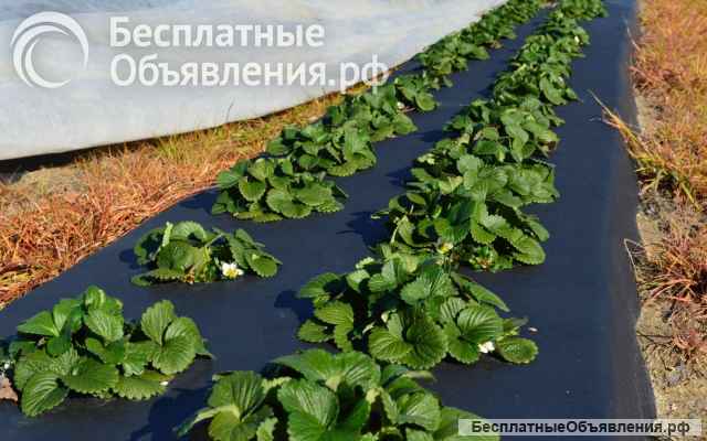 Геотекстиль спанбонд