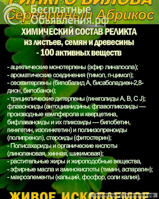 Функциональны чай. Листья Гинкго двулопастного Ginkgo Bilobae folia.